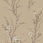 Pussy Willow