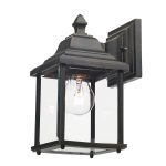Doyle Outdoor Wall Light Black/Gold Glass IP44